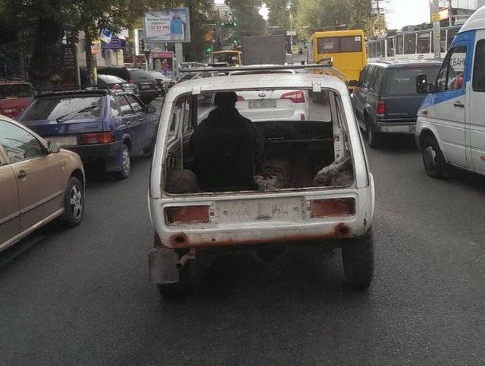 Only In Russia (39 pics)