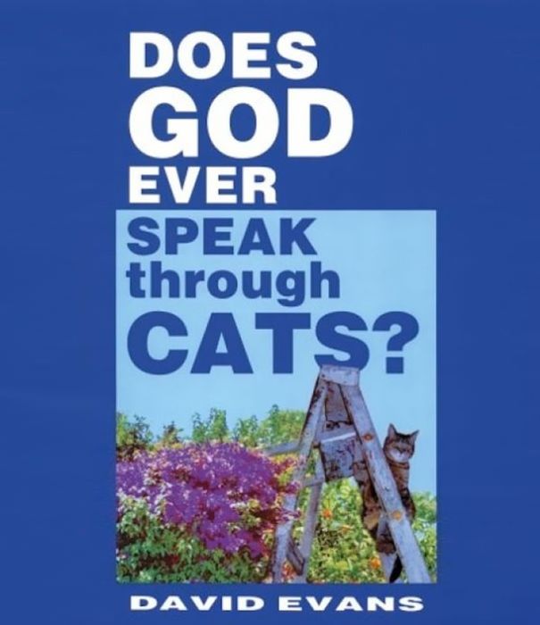 Very Bad Book Covers (29 pics)