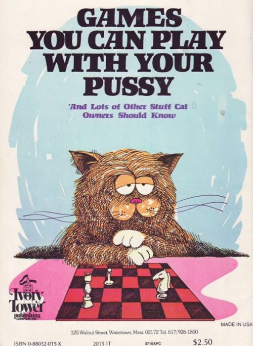 Very Bad Book Covers (29 pics)