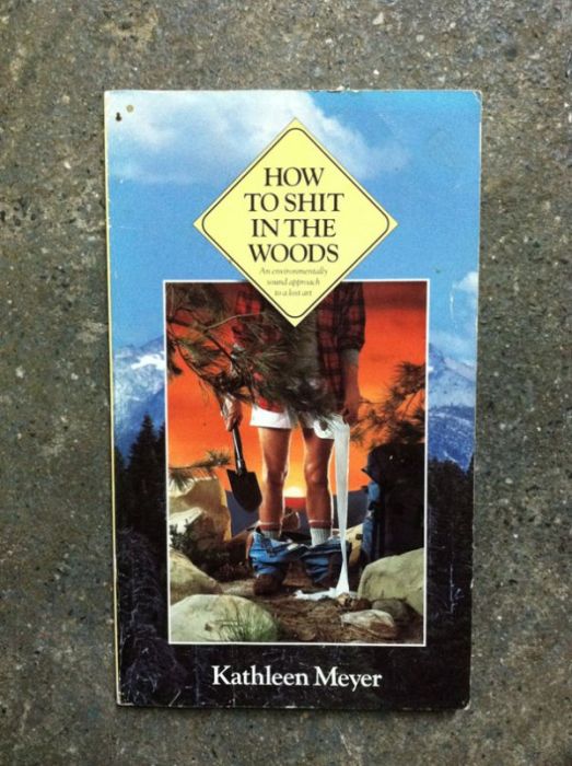 Very Bad Book Covers (29 pics)