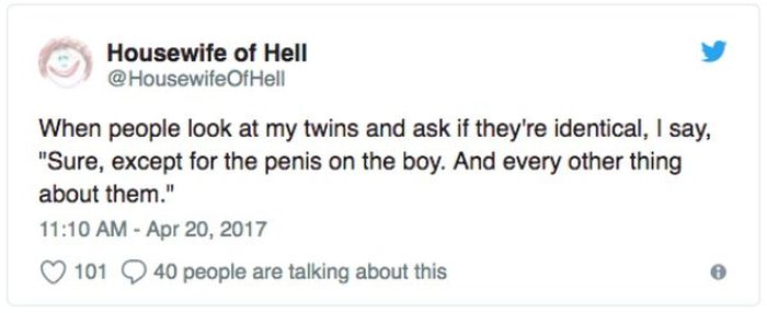 Tweets About Parents With Twins (24 pics)