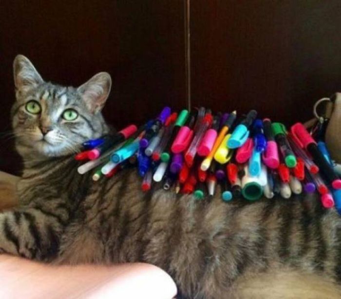 It's Impressive (39 pics)