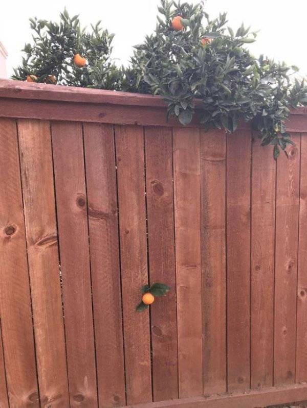 It's Impressive (39 pics)