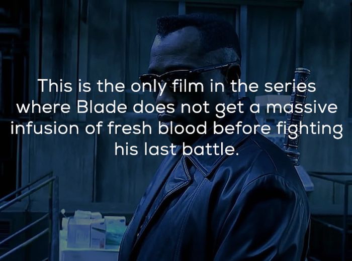 Interesting Facts About Blade: Trinity (21 pics)