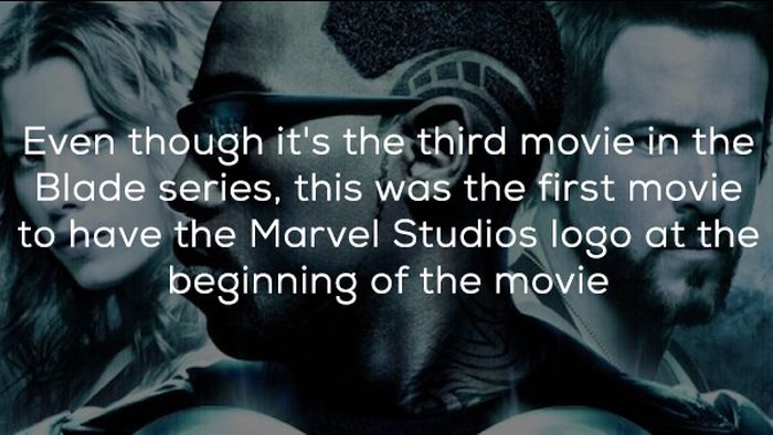 Interesting Facts About Blade: Trinity (21 pics)