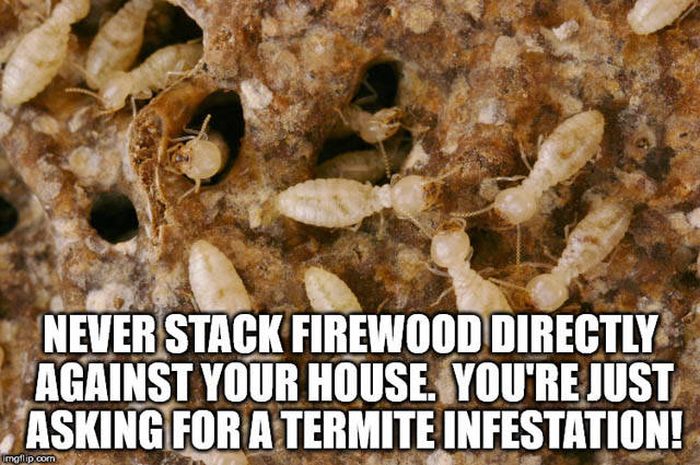 Useful Life Hacks (20 pics)