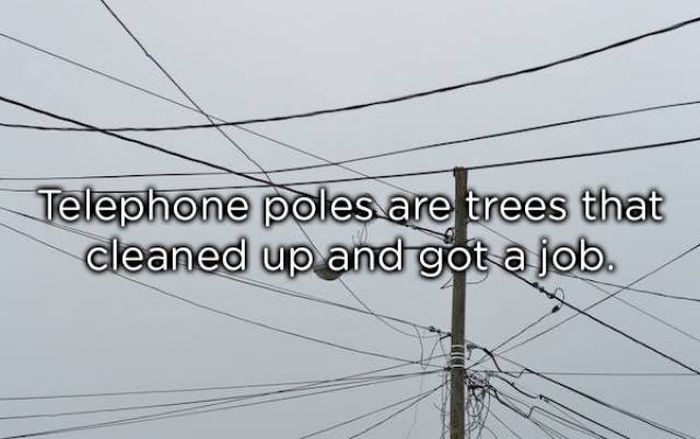 Shower Thoughts (20 pics)