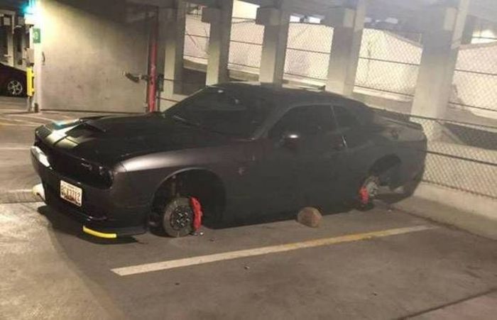 Sh*t Happens (46 pics)