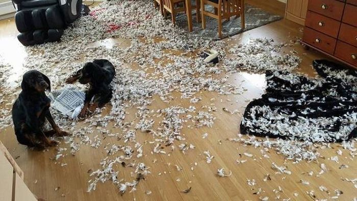 Sh*t Happens (46 pics)