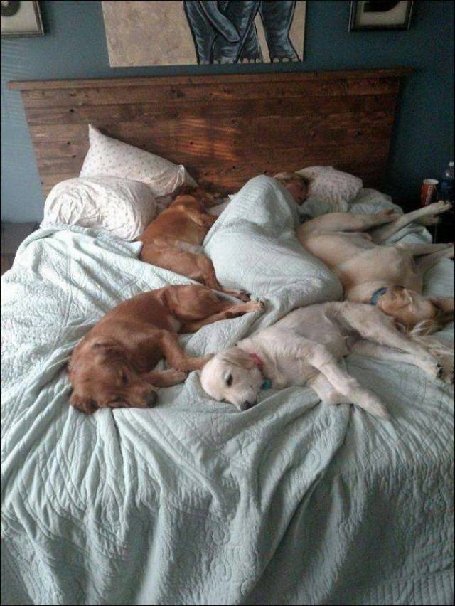 When A Picture Says More Than Just A Thousand Words (47 pics)