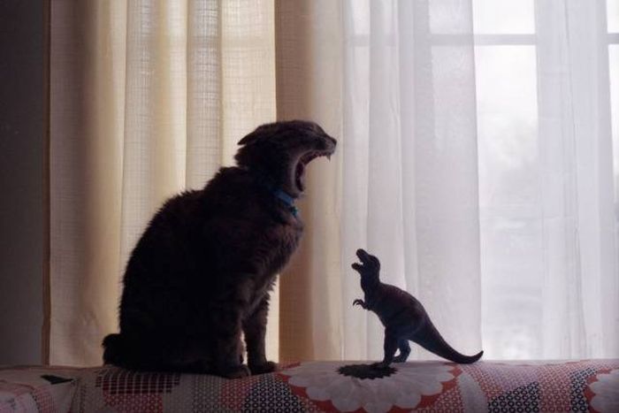 When A Picture Says More Than Just A Thousand Words (47 pics)