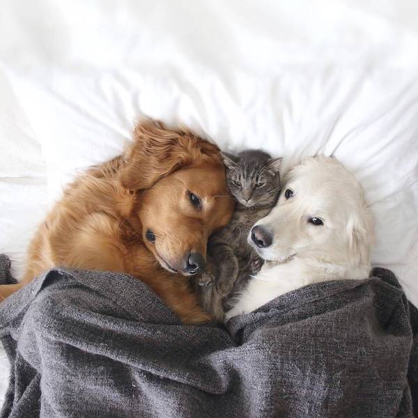 When A Picture Says More Than Just A Thousand Words (47 pics)