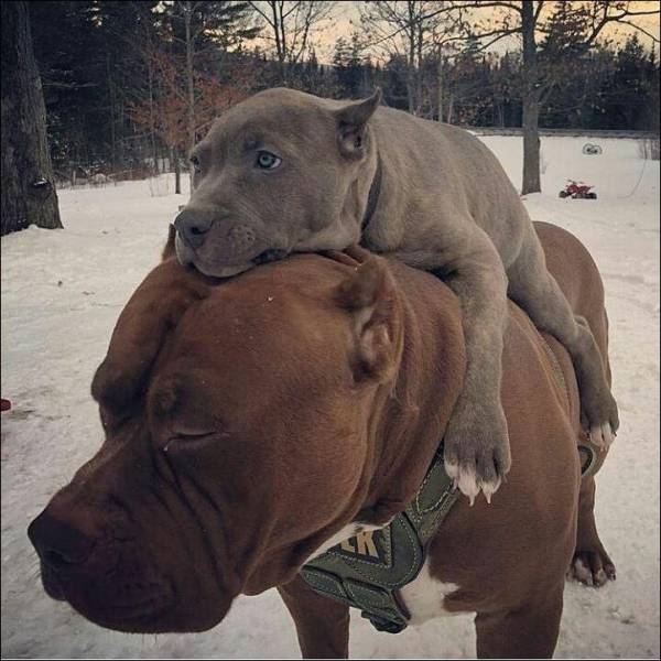 When A Picture Says More Than Just A Thousand Words (47 pics)