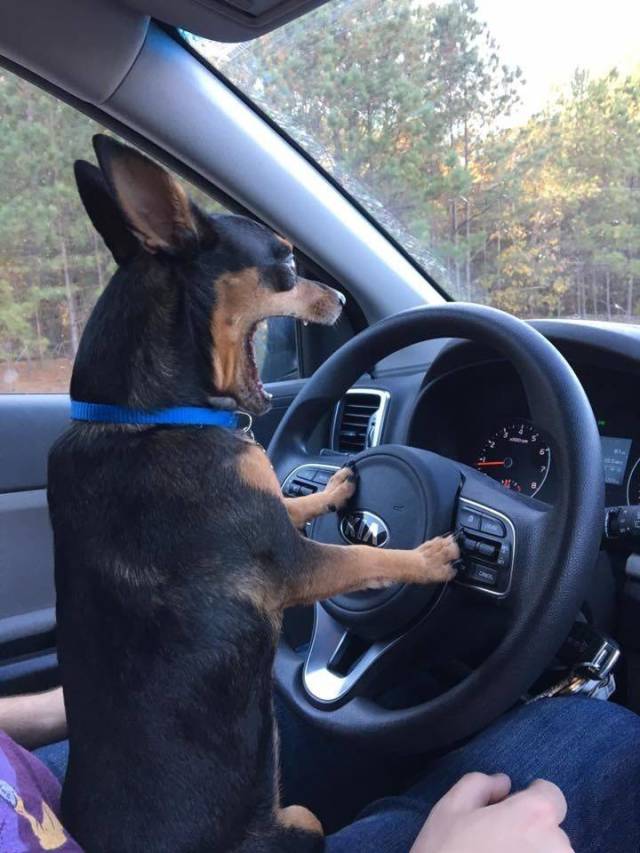 When A Picture Says More Than Just A Thousand Words (47 pics)