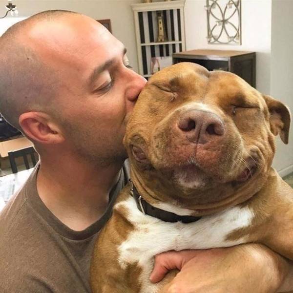 When A Picture Says More Than Just A Thousand Words (47 pics)