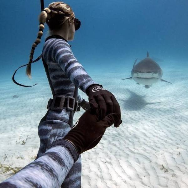 When A Picture Says More Than Just A Thousand Words (47 pics)