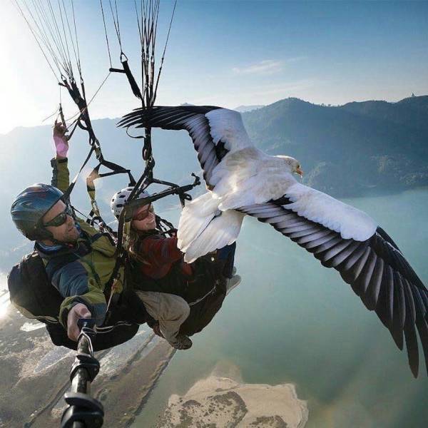 When A Picture Says More Than Just A Thousand Words (47 pics)