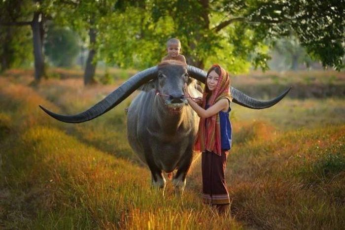 When A Picture Says More Than Just A Thousand Words (47 pics)