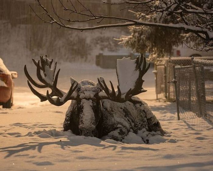When A Picture Says More Than Just A Thousand Words (47 pics)