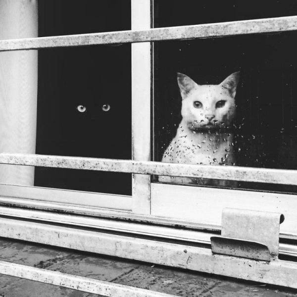 When A Picture Says More Than Just A Thousand Words (47 pics)