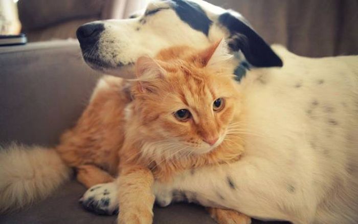 When A Picture Says More Than Just A Thousand Words (47 pics)