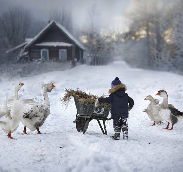 When A Picture Says More Than Just A Thousand Words (47 pics)