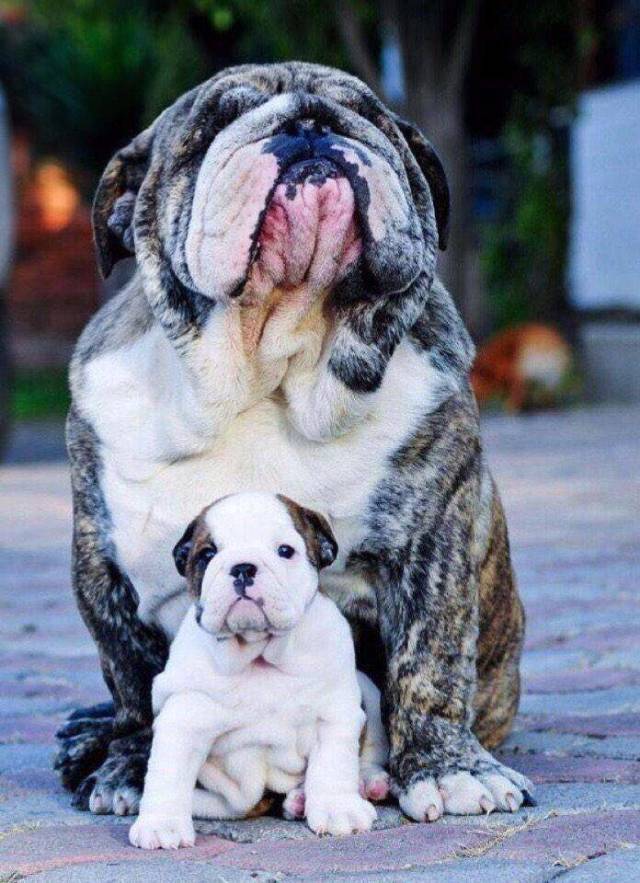When A Picture Says More Than Just A Thousand Words (47 pics)