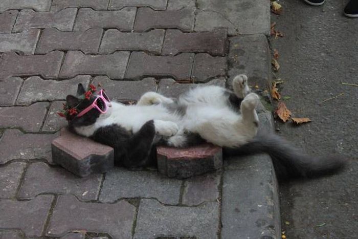 When A Picture Says More Than Just A Thousand Words (47 pics)
