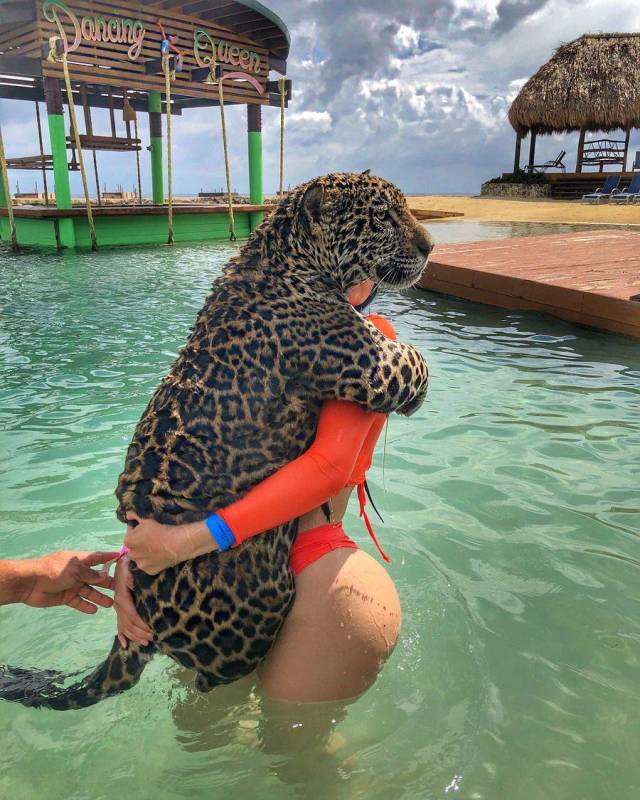 When A Picture Says More Than Just A Thousand Words (47 pics)