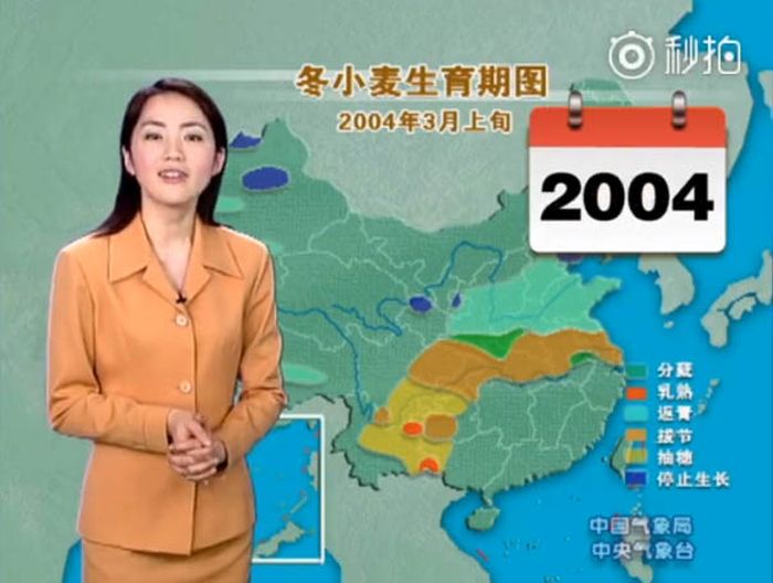 Chinese Weather Woman Have Not Aged For 22 Years On Screen (17 pics)