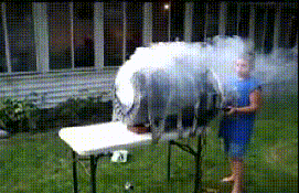 Acid Gifdump, March 13, 2018 (25 gifs)