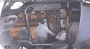 Karma Vs Thieves (15 gifs)
