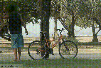 Karma Vs Thieves (15 gifs)