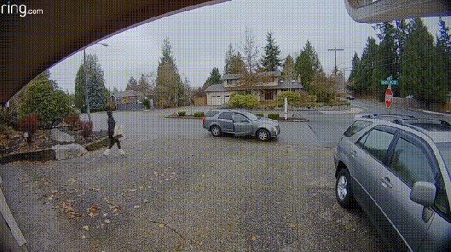 Karma Vs Thieves (15 gifs)