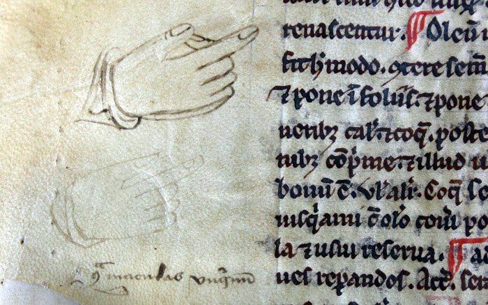 Notes On The Fields Of Medieval Books (8 pics)