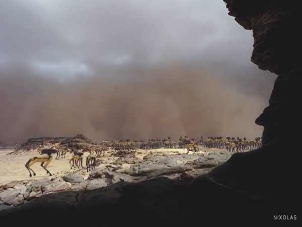 Planet Earth: A Migrating Herd of SpotMinis Face Challenges