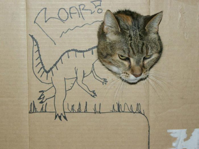 Pet Cardboard Box Dinosaurification (18 pics)