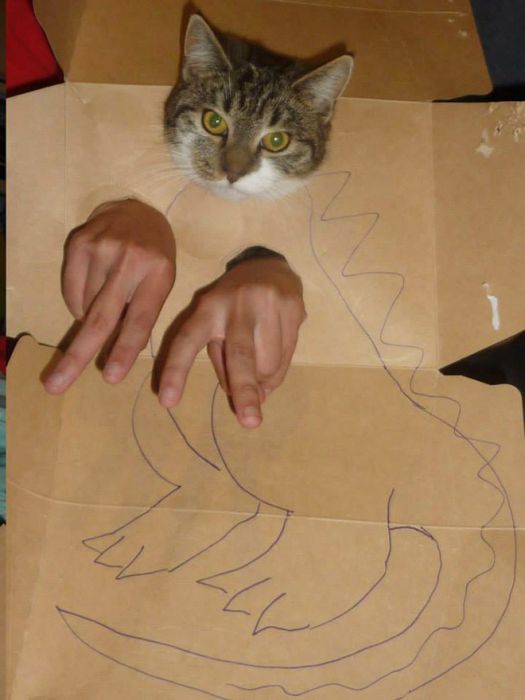 Pet Cardboard Box Dinosaurification (18 pics)