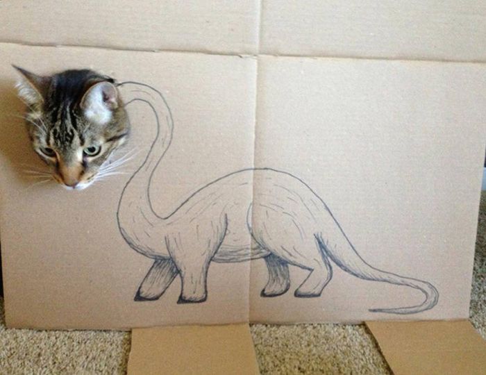 Pet Cardboard Box Dinosaurification (18 pics)