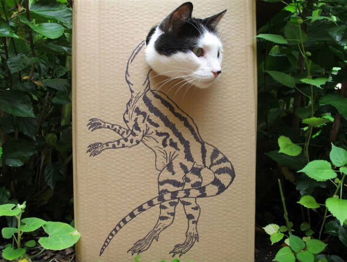 Pet Cardboard Box Dinosaurification (18 pics)