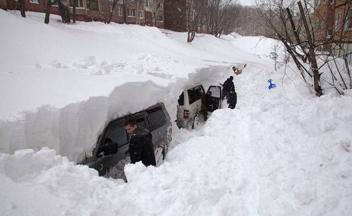Sh*t Happens (46 pics)