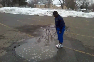 Sh*t Happens (46 pics)