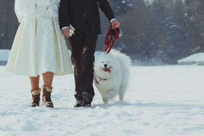 Acid Picdump (94 pics)