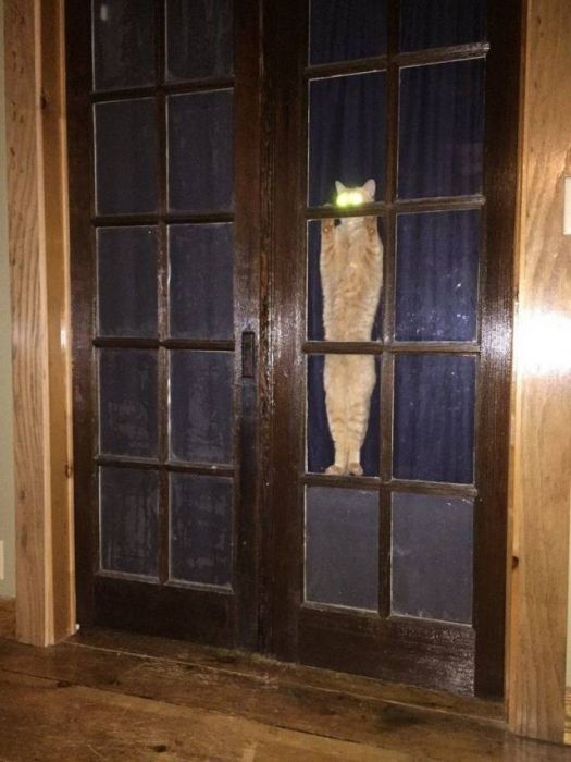Acid Picdump (94 pics)