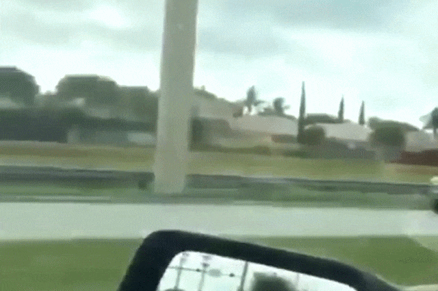 Acid Gifdump, March 15, 2018 (25 gifs)