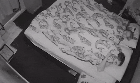 Acid Gifdump, March 15, 2018 (25 gifs)