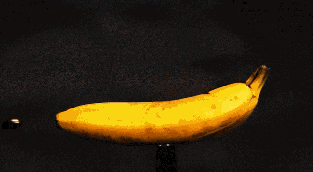 Acid Gifdump, March 15, 2018 (25 gifs)