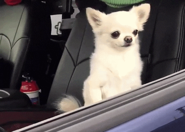 Acid Gifdump, March 15, 2018 (25 gifs)