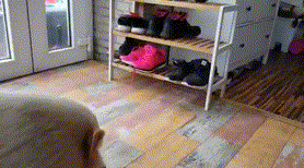 Acid Gifdump, March 15, 2018 (25 gifs)