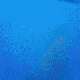 Acid Gifdump, March 15, 2018 (25 gifs)